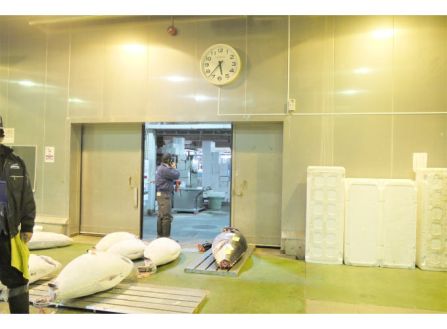 【派遣】マグロの小骨取り／食品加工