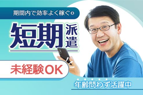 【派遣】配線コード先の小さい部品の検査・仕分け