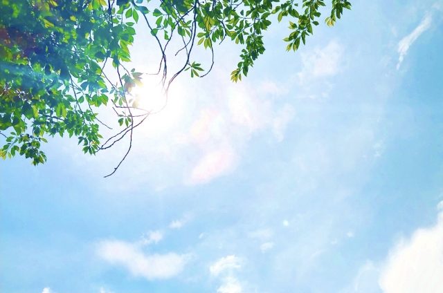 日勤固定の仕事を探しています!どんな求人が人気ですか?